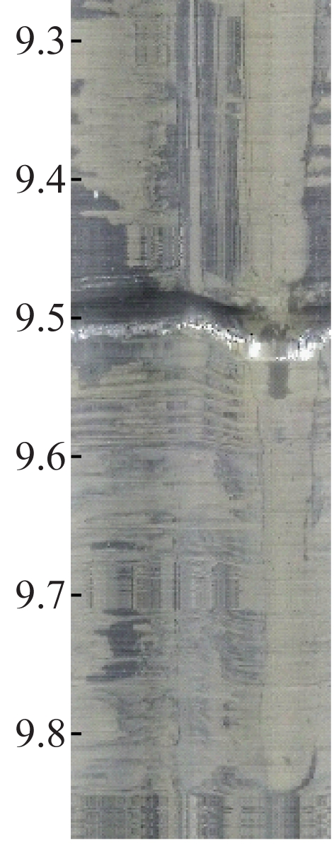 width=86,height=219,dpi=110