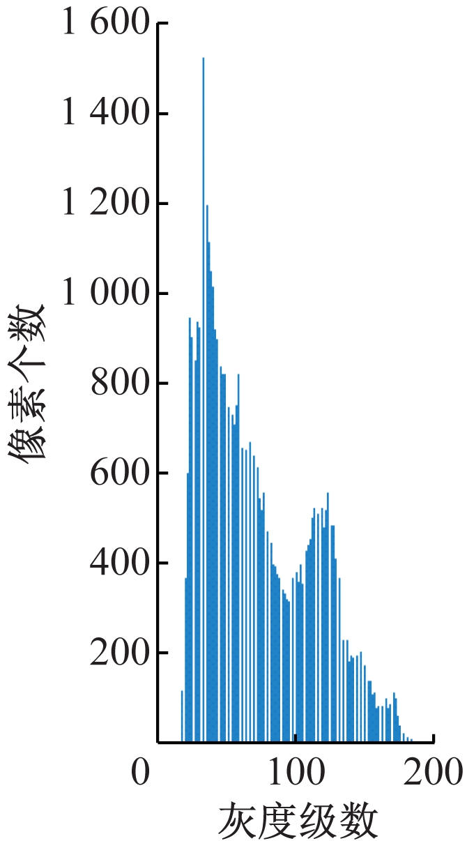 width=122,height=221,dpi=110