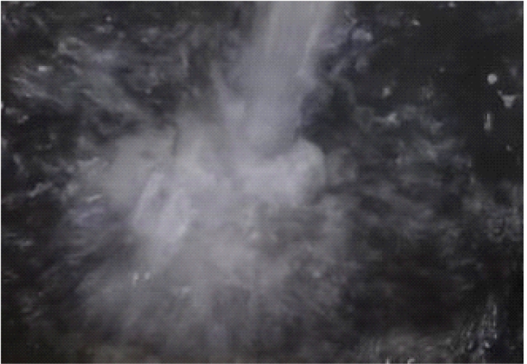 width=135,height=93,dpi=110