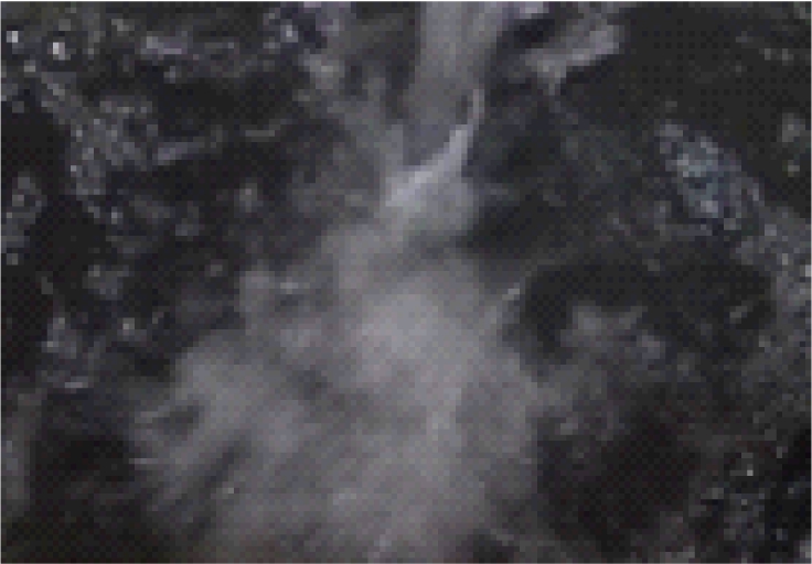 width=134,height=93,dpi=110