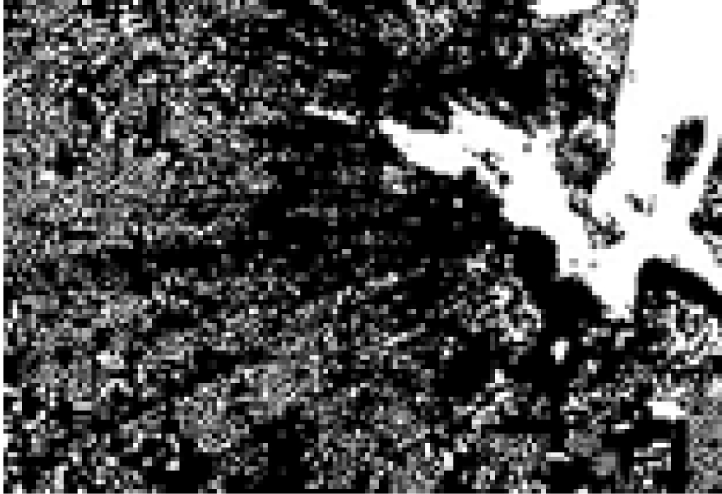 width=191,height=131,dpi=110