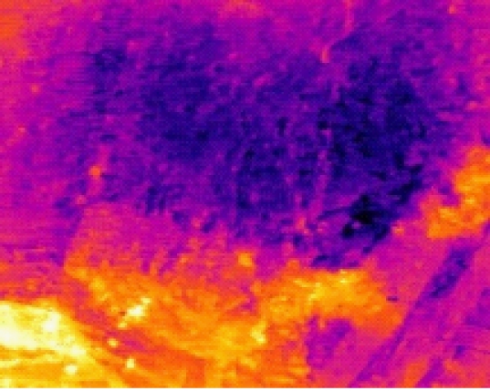 width=98,height=78,dpi=110