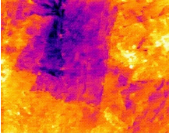 width=99,height=78,dpi=110