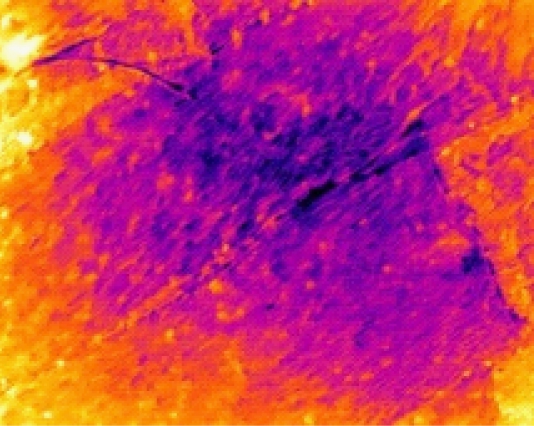 width=97,height=78,dpi=110