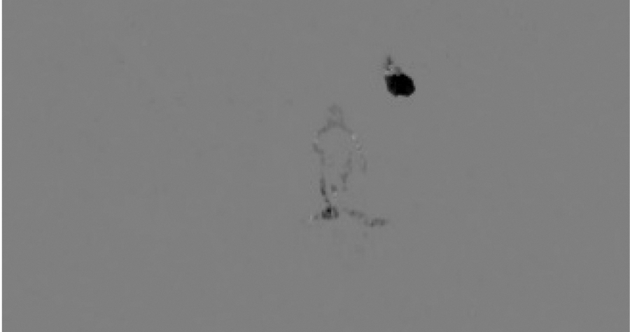 width=165,height=87,dpi=110